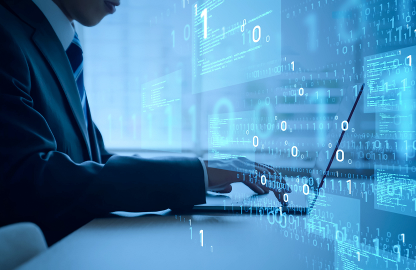 Sisteme de e-commerce integrate